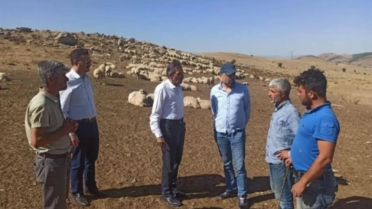 Yetiştiricilerin sorunları dinlendi