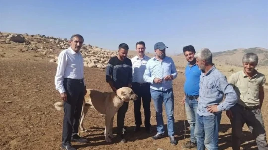 Yetiştiricilerin sorunları dinlendi