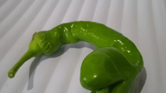 Yılan başlı biber görenleri şaşırttı