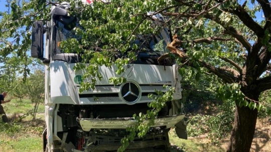 Yoldan çıkan tanker kayısı bahçesine girdi