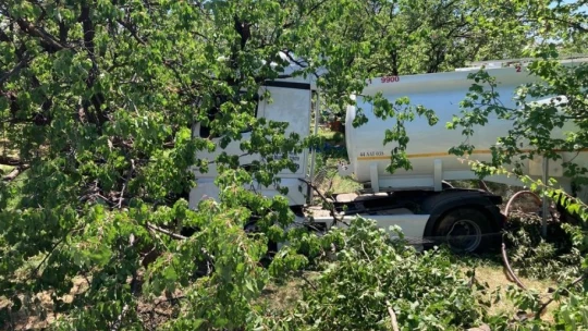 Yoldan çıkan tanker kayısı bahçesine girdi