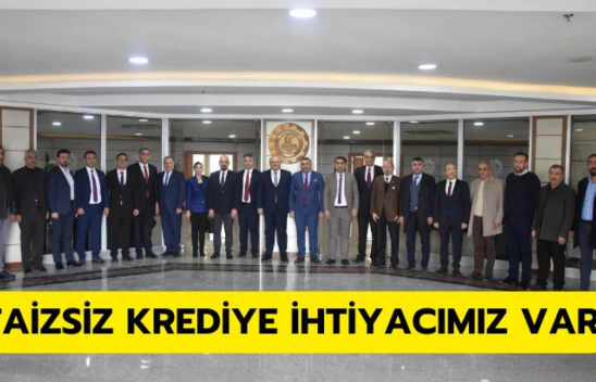 Sadıkoğlu: Faizsiz krediye ihtiyacımız var