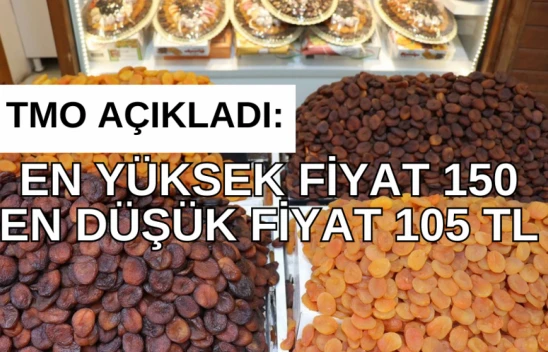 TMO kayısı fiyatlarını açıkladı