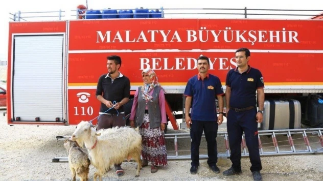 Kayalıklarda mahsur kalan keçi kurtarıldı