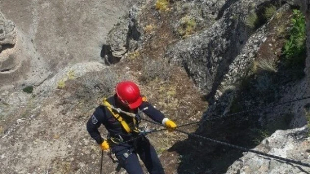 Kayalıklarda mahsur kalan keçiler kurtarıldı