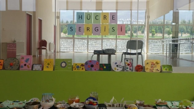 TED'li öğrencilerden Hücre Modelleri Sergisi