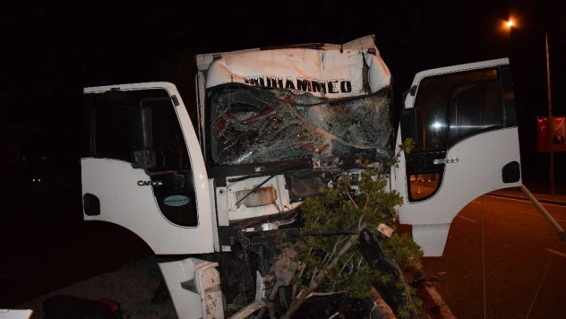 Kamyon trambüs direğine çarptı: 2 yaralı