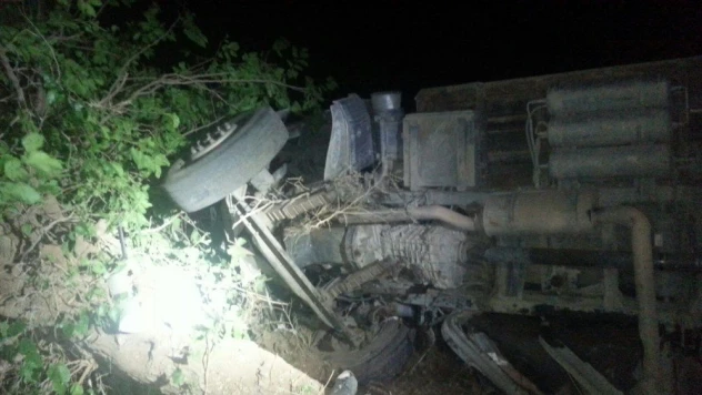 Elazığ'da korkunç kaza: 5 yaralı, 50 hayvan telef oldu