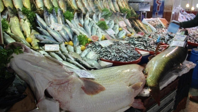 Malatya balık pazarında  dev kurşun balığı