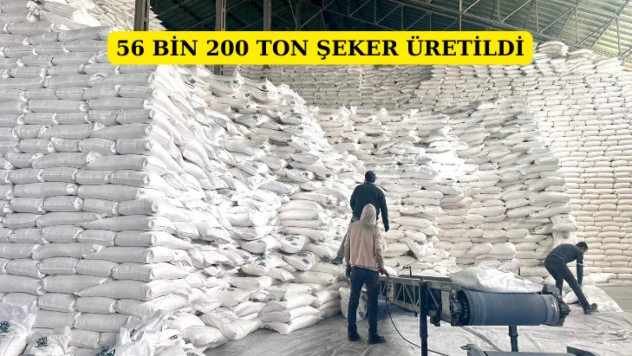 56 bin 200 ton şeker üretildi