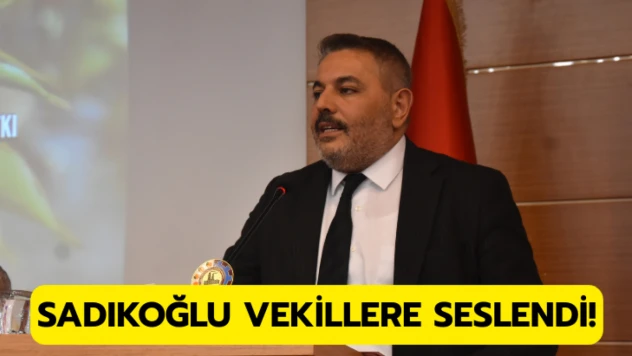 Başkan Sadıkoğlu'ndan milletvekillerine çağrı