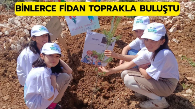 Binlerce fidan toprakla buluştu