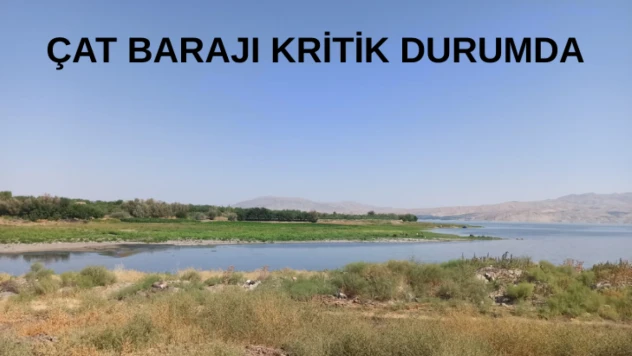 Çat Barajı kritik durumda