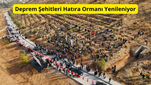 Deprem Şehitleri Hatıra Ormanı Yenileniyor