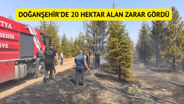 Doğanşehir'de 20 hektar alan zarar gördü