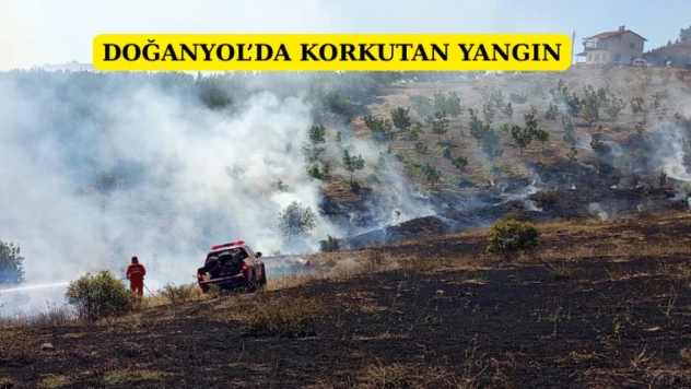 Doğanyol'da korkutan yangın