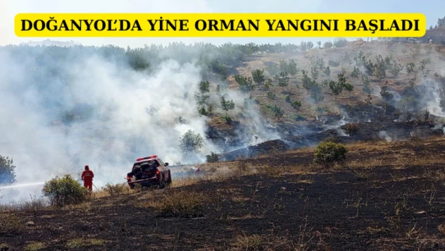 Doğanyol'da yine orman yangını başladı