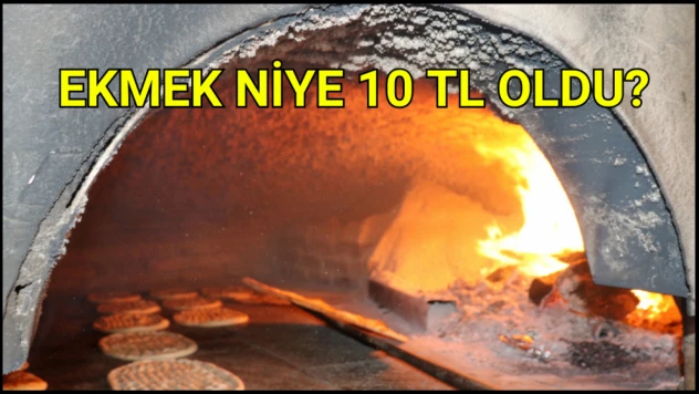 Ekmek niye 10 TL oldu?