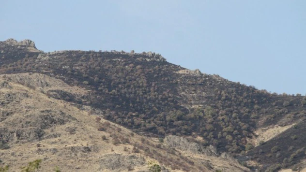 Elazığ'daki  orman yangını söndürüldü