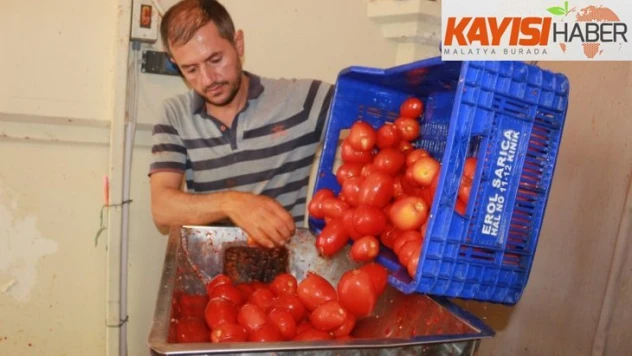 Ev yapımı salça sezonu başladı
