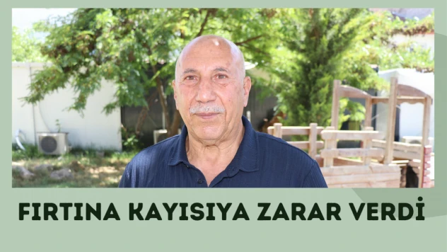 Fırtına kayısıya zarar verdi