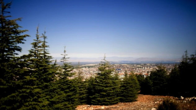 Malatya'nın rüyası gerçek oldu
