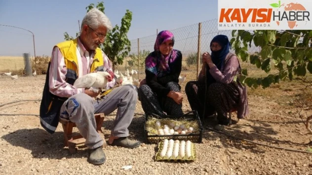 Hobiyi, çiftliğe çeviren çift, 'Yumurta' ile para kazanmaya başladı