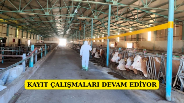 Kayıt çalışmaları devam ediyor