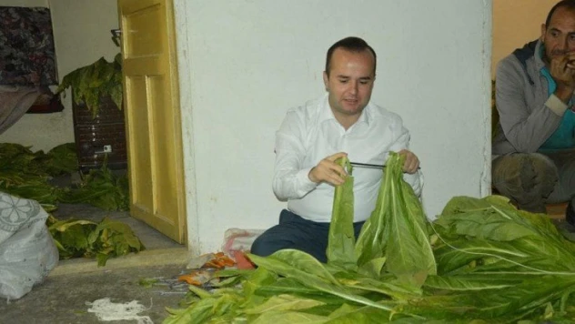 Kaymakam Arslantürk, tütün biçti, şişe sapladı