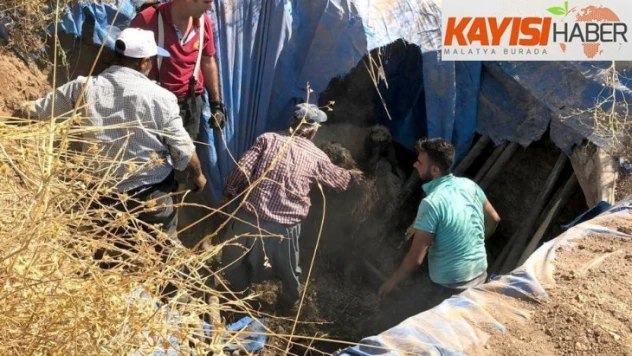 Koyunlar toplu halde fosseptik çukuruna düştü