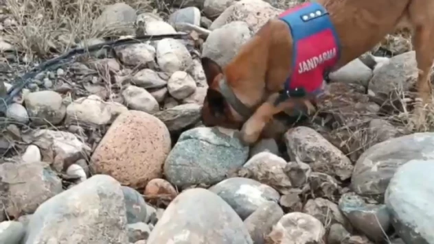 Jandarmadan drone destekli uyuşturucu operasyonu