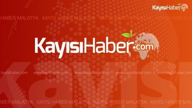 Malatya'da FETÖ/PDY soruşturması