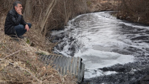 Hayvanlar telef oluyor, çocuklar hastalanıyor!