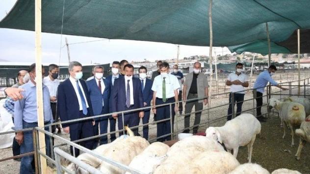 Malatya hayvan pazarı kesimhanelerinde monoray sistemine geçildi