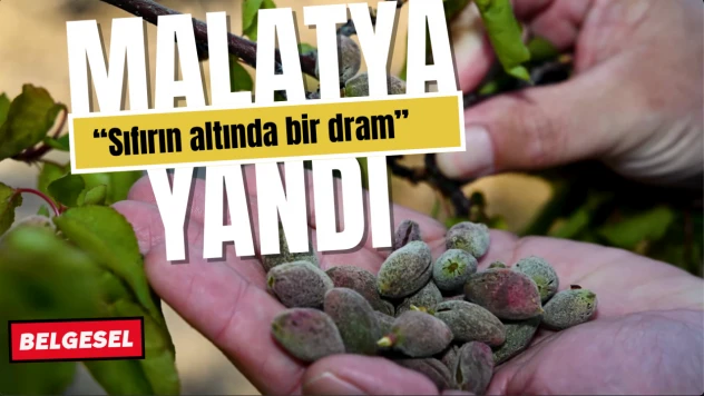 Malatya Yandı Belgeseli