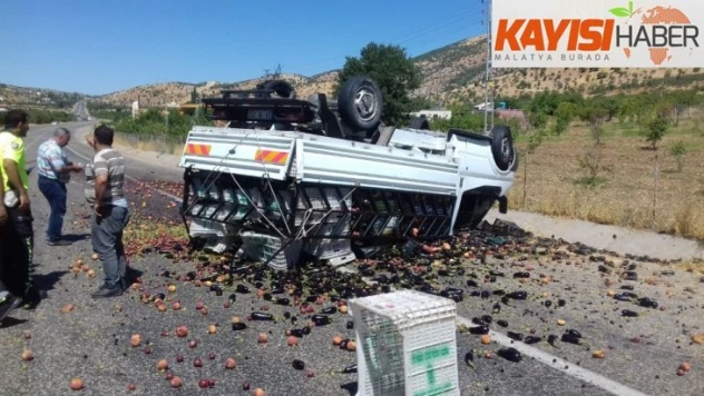 Meyve yüklü kamyonet takla attı