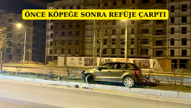 Önce köpeğe sonra refüje çarptı