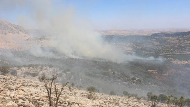 Orman yangını kontrol altına alındı