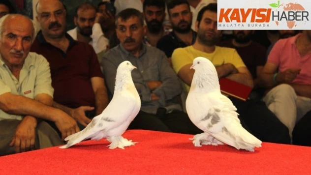Otomobil fiyatına güvercin