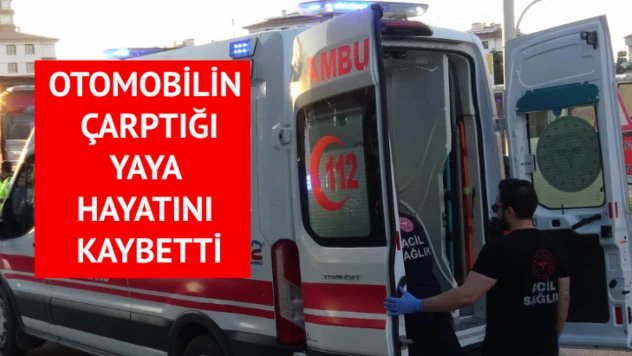 Otomobilin çarptığı yaya hayatını kaybetti