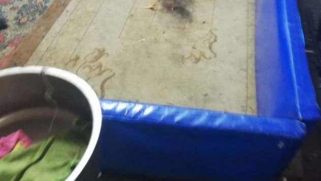 Polisten horoz dövüştürenlere baskın