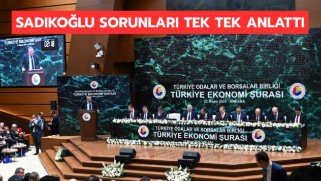 Sadıkoğlu, Malatya'nın sorunlarını Cumhurbaşkanı Yardımcısı'na ve Bakanlara aktardı