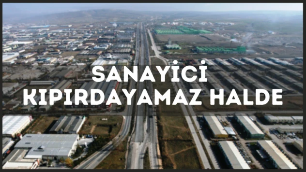 Sadıkoğlu: Sanayicimiz kıpırdayamaz halde
