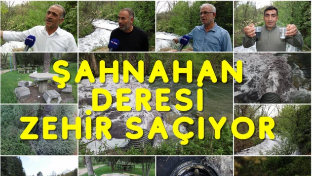 Şahnahan Deresi zehir saçıyor: Mahalleli yetkililerden çözüm bekliyor
