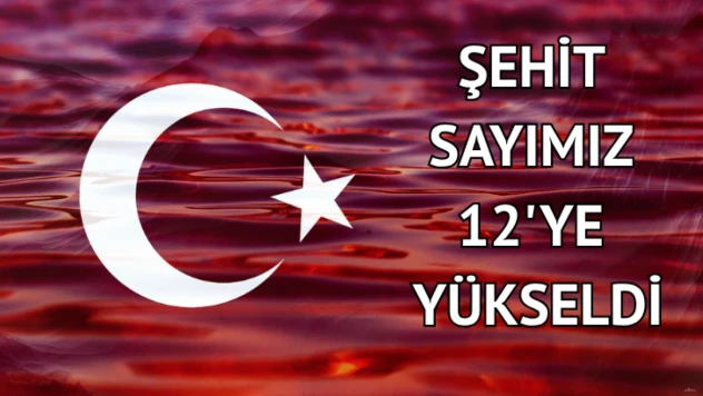 Şehit sayımız 12'ye yükseldi