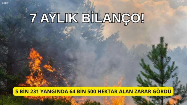 Türkiye'de çıkan 5 bin 231 yangında 64 bin 500 hektar alan zarar gördü