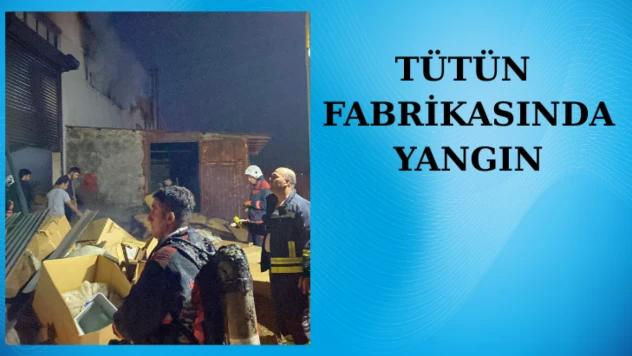 Tütün fabrikasında yangın