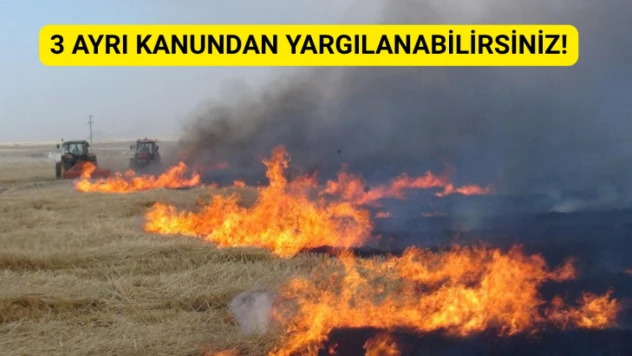 Valilik uyardı: 3 ayrı kanundan yargılanabilirsiniz!