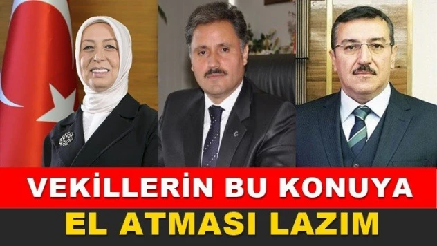 Vekillerin bu konuya el atması lazım