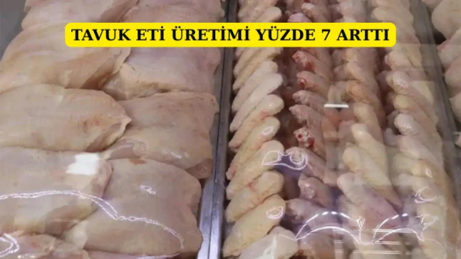 Tavuk eti üretimi yüzde 7,1 arttı